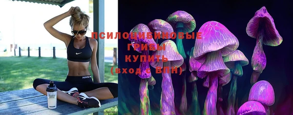 a pvp Майский