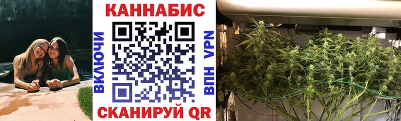 дарк нет формула Братск Конопля OG Kush